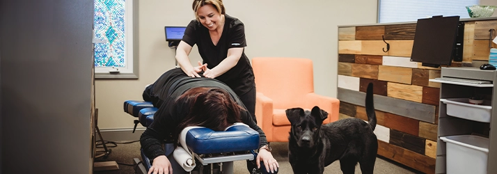 Chiropractor Bloomington IL Jess Bruin Adjusting Patient Chiropractor Bloomington IL Jess Bruin Adjusting Patient